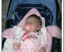 17 IMG_0457